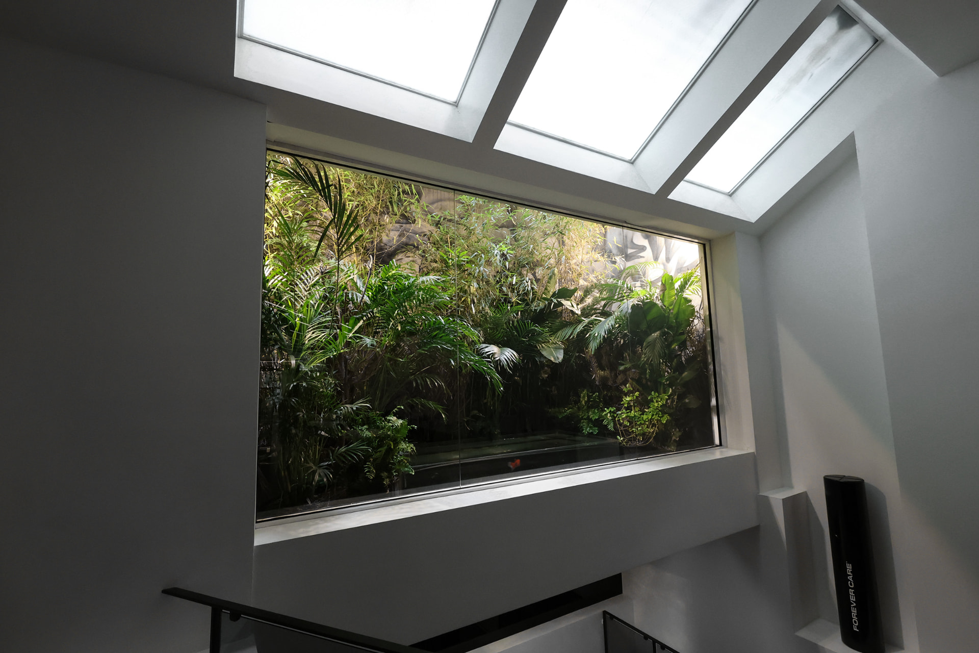 Custom in-wall paludarium with lush tropical planting viewed through a picture window
